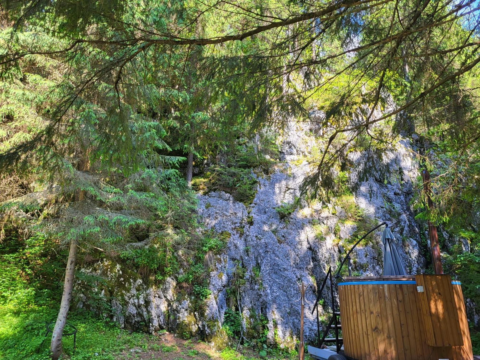 Pension Cabana Cetatile Ponorului Padis Exterior foto