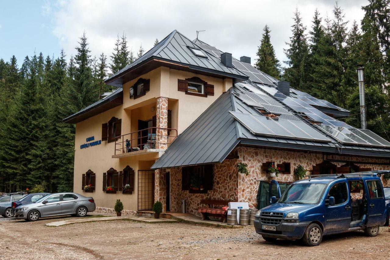 Pension Cabana Cetatile Ponorului Padis Exterior foto