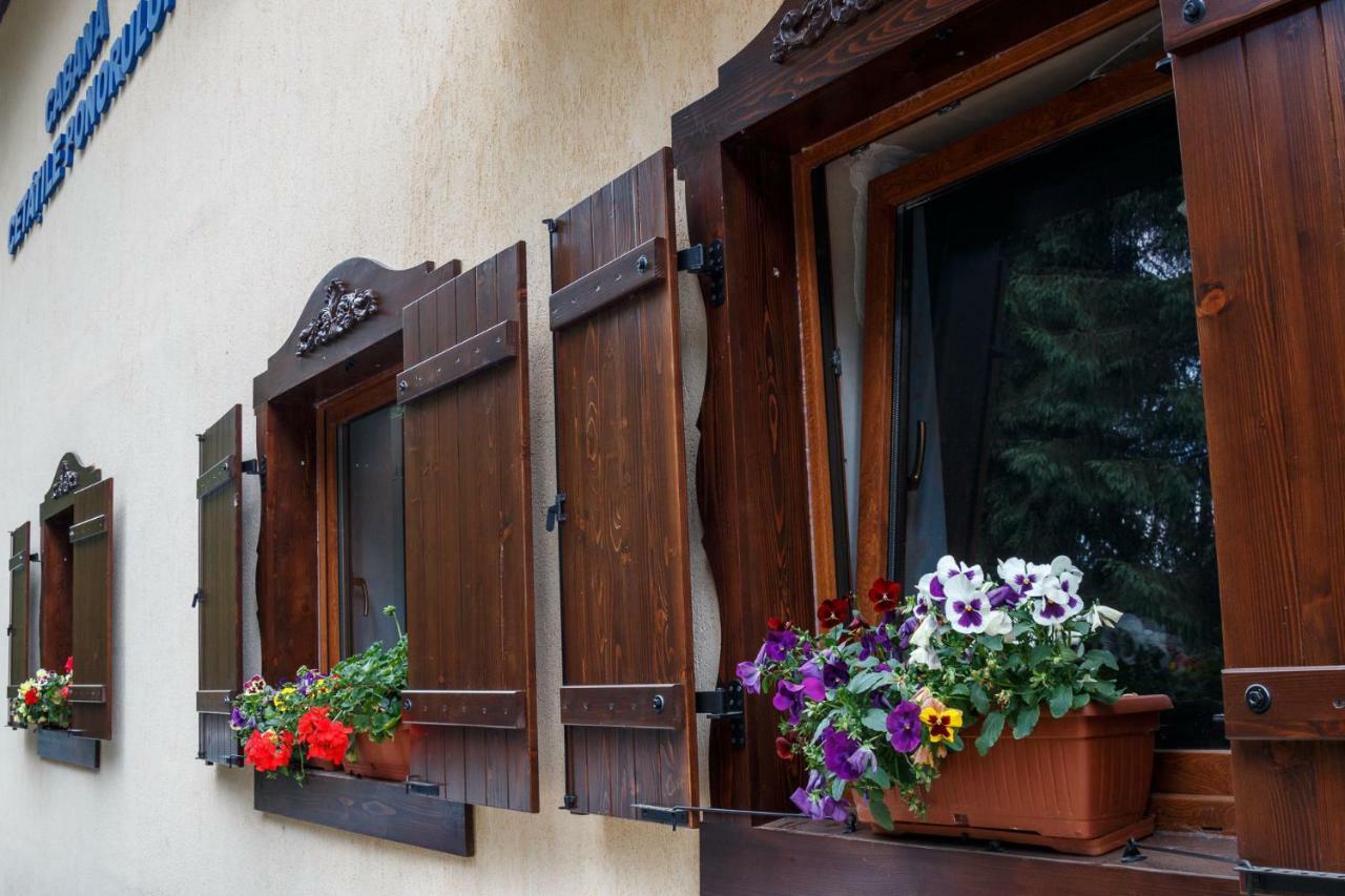 Pension Cabana Cetatile Ponorului Padis Exterior foto